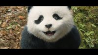 review-panda-plan-the-magical-tribe-hu-hu-52106