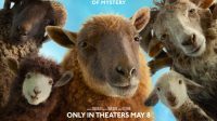 sinopsis-the-sheep-detectives-detektif-berbulu-domba-70766