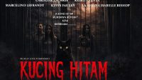 sinopsis-film-kucing-hitam-saat-kucing-hitam-menghadirkan-teror-ke-dalam-rumah-95873