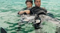 deep-water-2026-teror-bertahan-hidup-usai-pesawat-jatuh-83583