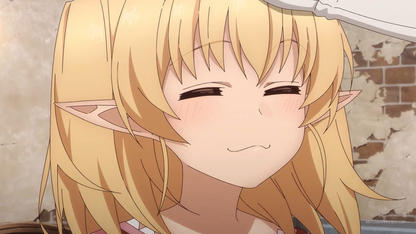 Sinopsis Anime The Brilliant Healer's